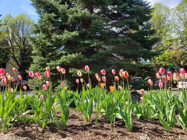 7631 Edinborough Way 5216, Edina, MN 55435