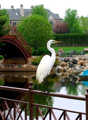 7631 Edinborough Way 5216, Edina, MN 55435