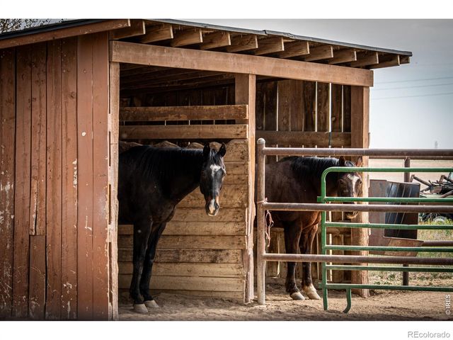11529 County Road 78, Eaton, CO 80615
