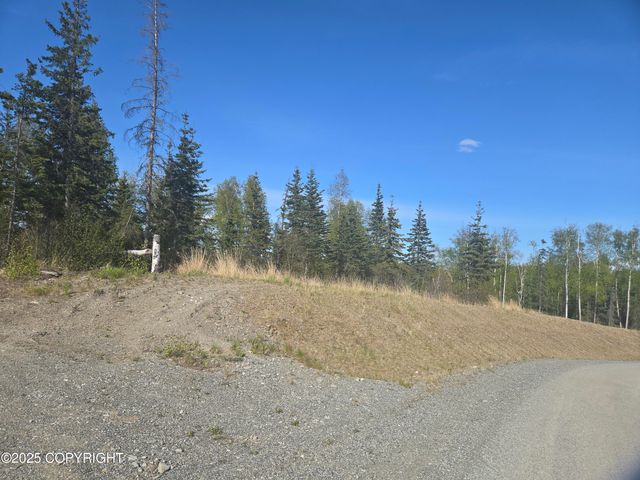 L8 B2 W Blue Moon Circle, Wasilla, AK 99623