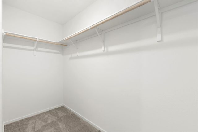 274 Douglas Hills Drive, Magnolia, TX 77354