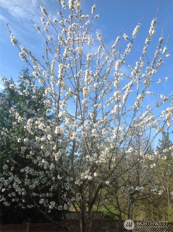 1300 Flower Avenue, Port Orchard, WA 98366