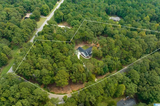 161 HODGENS ROAD, Chelsea, AL 35043