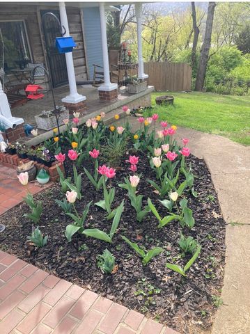 900 Beason Drive, Chattanooga, TN 37405