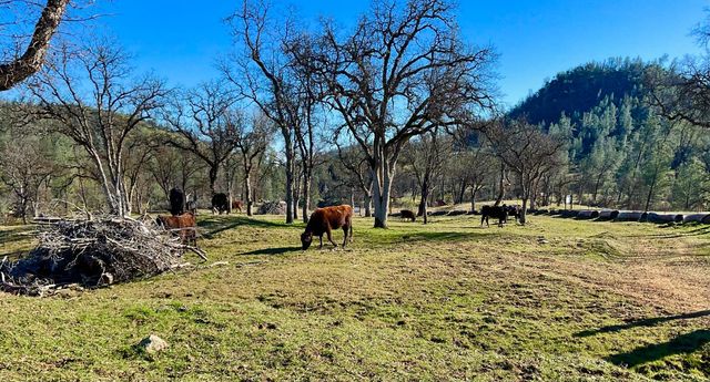 9390 Platina Rd, Ono, CA 96047