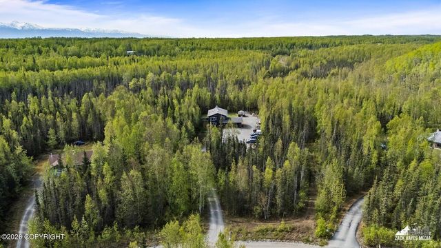 1516 W Mollybrianne Circle, Wasilla, AK 99654