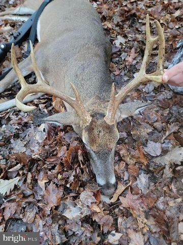 5076 BACK SHELLTOWN RD, Marion Station, MD 21838