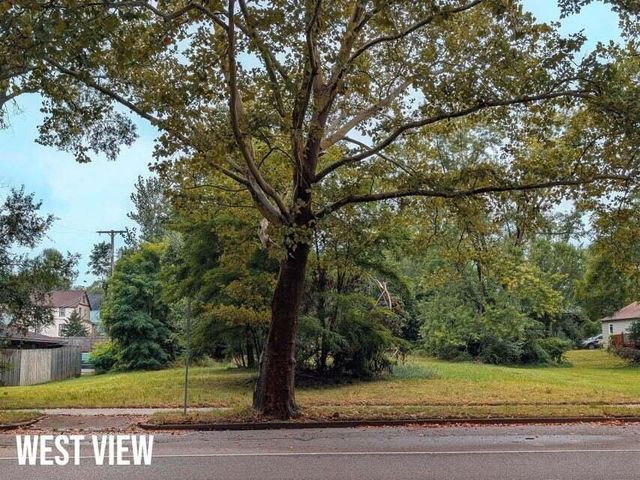 1316 S Park Street, Kalamazoo, MI 49001