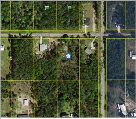 4315 WANDA ST, Hastings, FL 32145