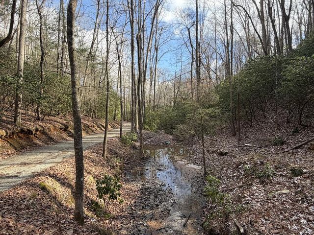 636 Bear Paw Trail, Blue Ridge, GA 30513