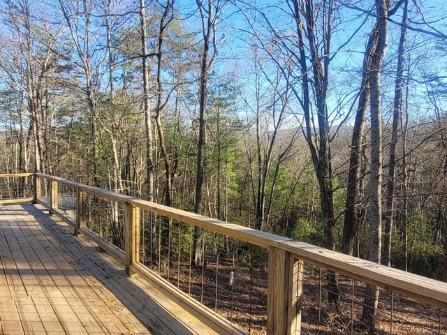 636 Bear Paw Trail, Blue Ridge, GA 30513