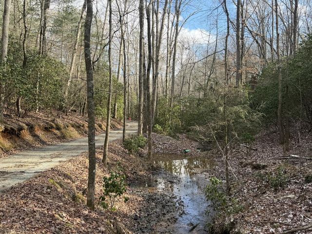 636 Bear Paw Trail, Blue Ridge, GA 30513