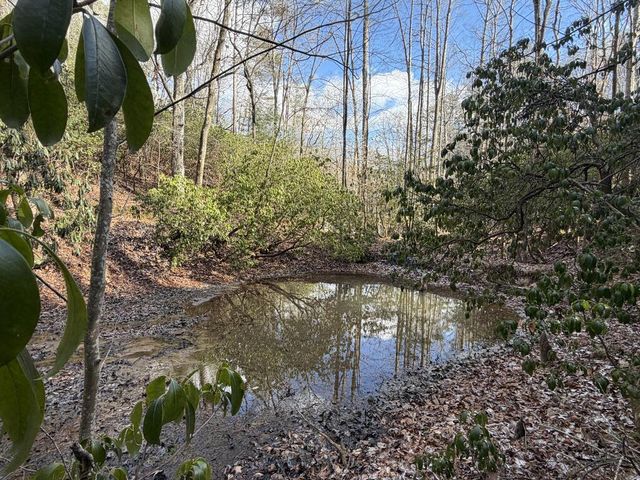 636 Bear Paw Trail, Blue Ridge, GA 30513