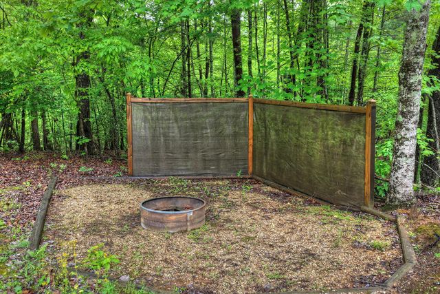 636 Bear Paw Trail, Blue Ridge, GA 30513