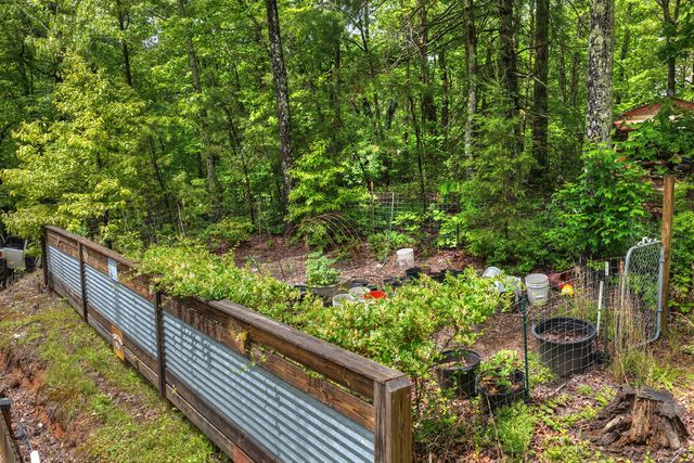 636 Bear Paw Trail, Blue Ridge, GA 30513