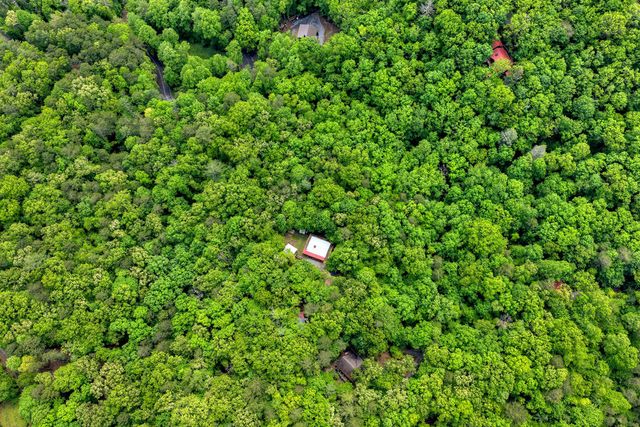 636 Bear Paw Trail, Blue Ridge, GA 30513