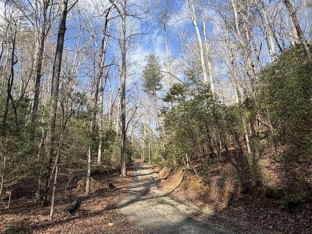 636 Bear Paw Trail, Blue Ridge, GA 30513