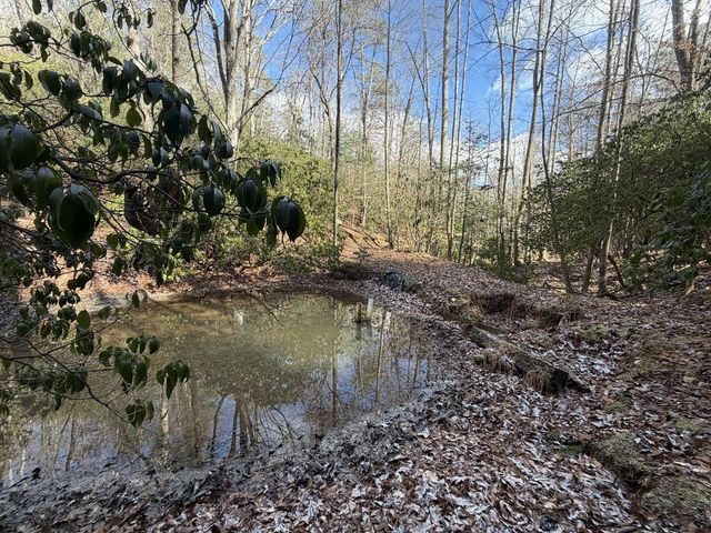 636 Bear Paw Trail, Blue Ridge, GA 30513