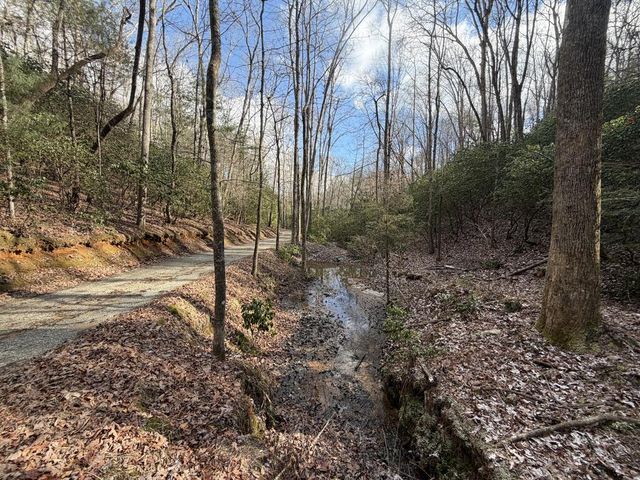 636 Bear Paw Trail, Blue Ridge, GA 30513