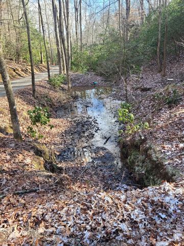 636 Bear Paw Trail, Blue Ridge, GA 30513