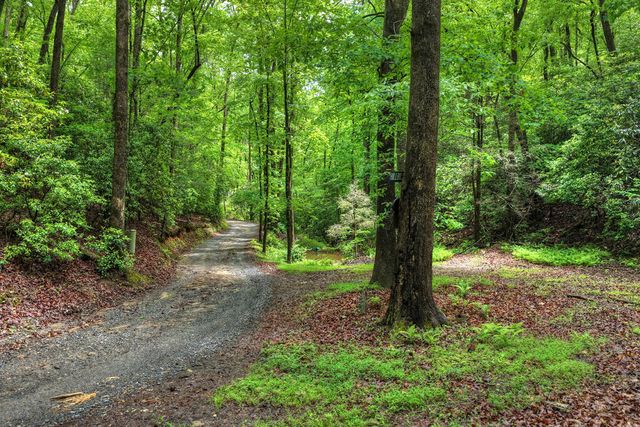 636 Bear Paw Trail, Blue Ridge, GA 30513