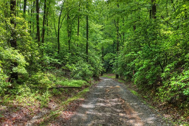 636 Bear Paw Trail, Blue Ridge, GA 30513