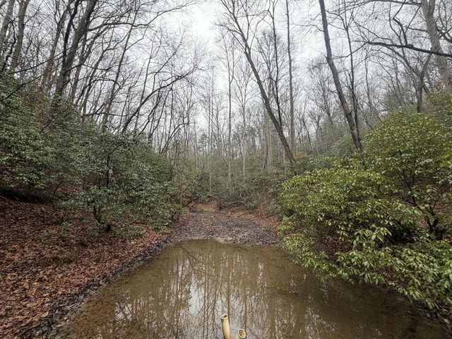 636 Bear Paw Trail, Blue Ridge, GA 30513
