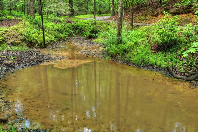 636 Bear Paw Trail, Blue Ridge, GA 30513