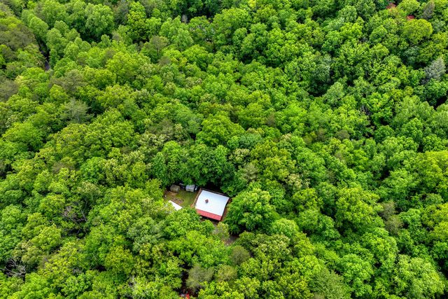 636 Bear Paw Trail, Blue Ridge, GA 30513