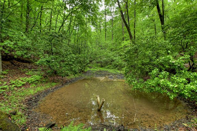 636 Bear Paw Trail, Blue Ridge, GA 30513