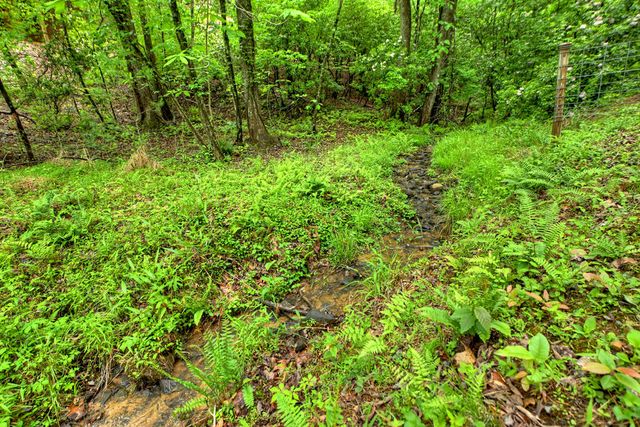 636 Bear Paw Trail, Blue Ridge, GA 30513