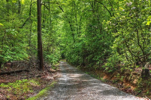 636 Bear Paw Trail, Blue Ridge, GA 30513