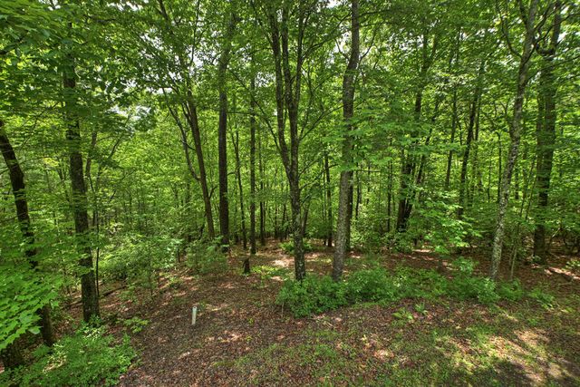 636 Bear Paw Trail, Blue Ridge, GA 30513