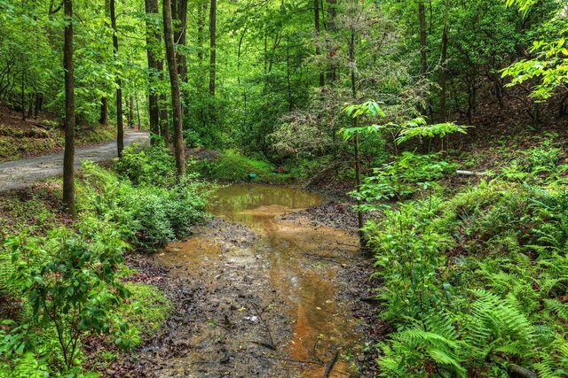 636 Bear Paw Trail, Blue Ridge, GA 30513