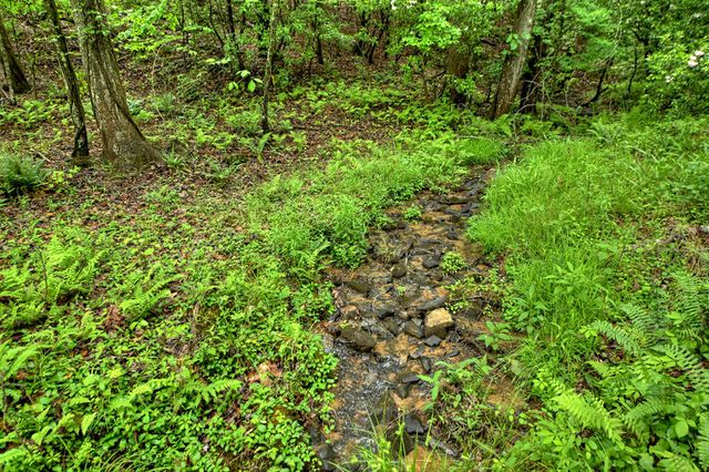 636 Bear Paw Trail, Blue Ridge, GA 30513