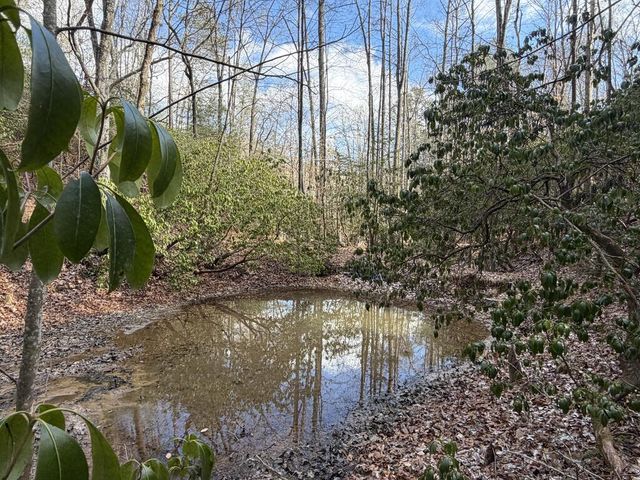 636 Bear Paw Trail, Blue Ridge, GA 30513