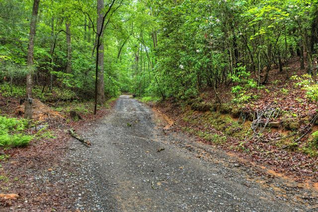 636 Bear Paw Trail, Blue Ridge, GA 30513