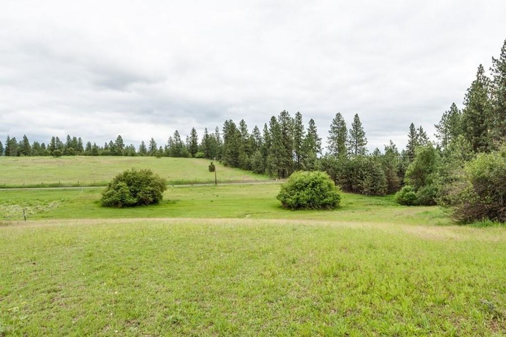 10409 E Palouse Hwy, Valleyford, WA 99036 photo 25