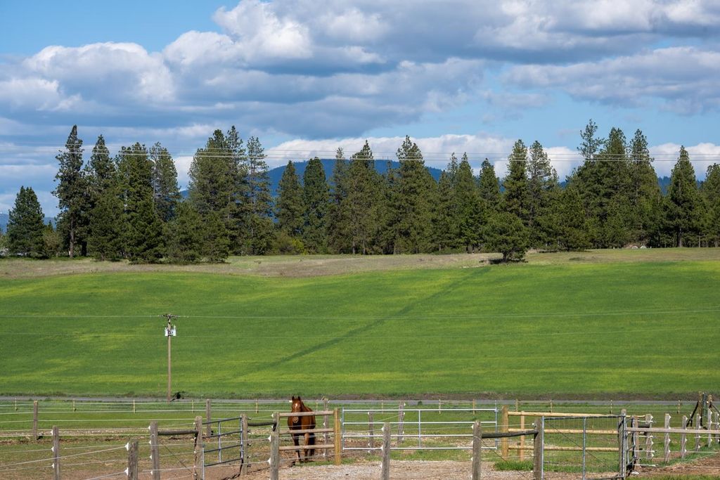 10409 E Palouse Hwy, Valleyford, WA 99036 photo 6
