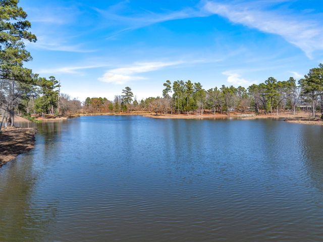 4776 FM 17, Grand Saline, TX 75140