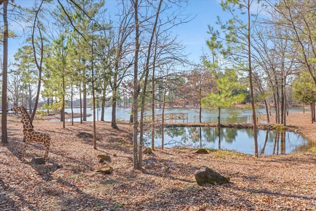 4776 FM 17, Grand Saline, TX 75140