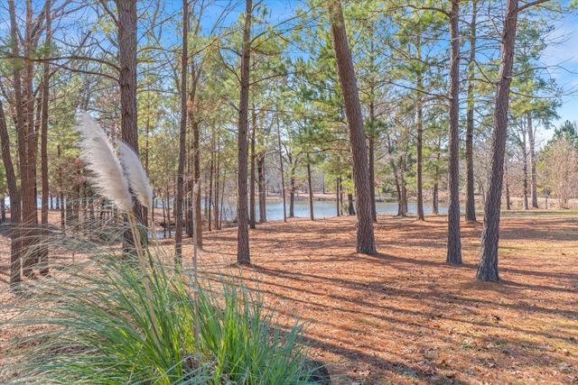 4776 FM 17, Grand Saline, TX 75140