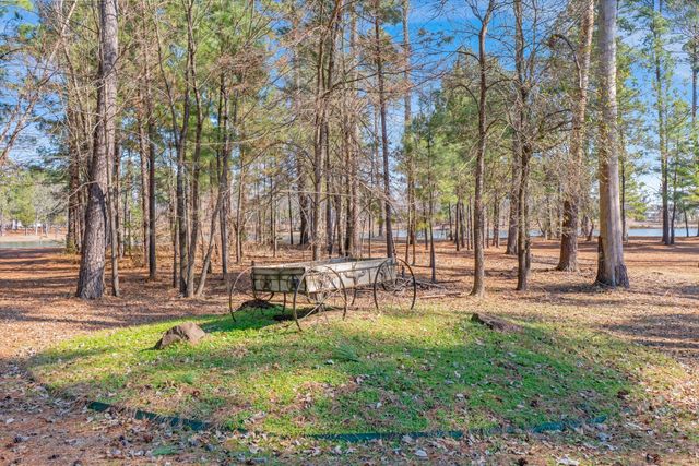 4776 FM 17, Grand Saline, TX 75140