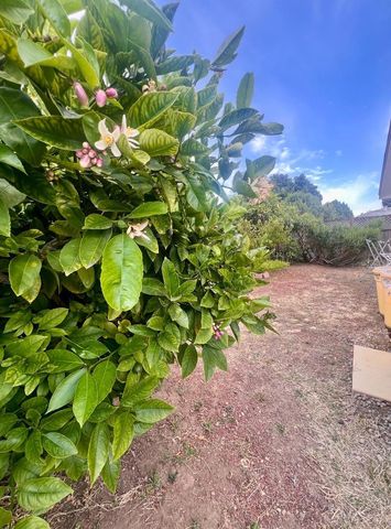 16158 Via Walter, San Lorenzo, CA 94580
