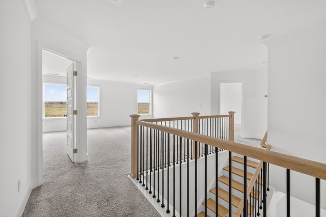 3220 Ventura Ave, White House, TN 37188