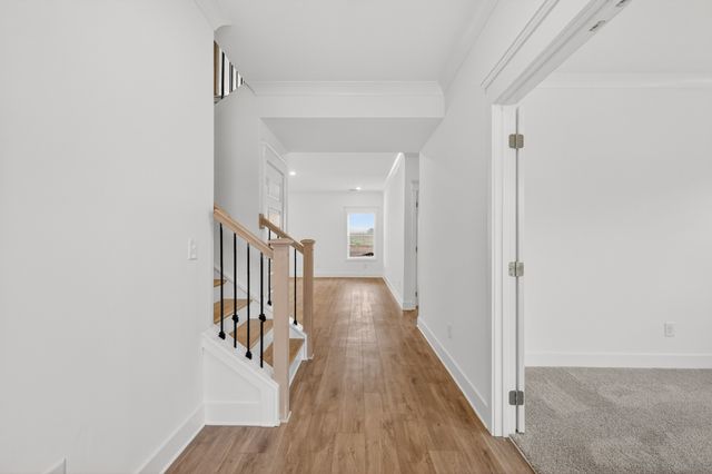 3220 Ventura Ave, White House, TN 37188