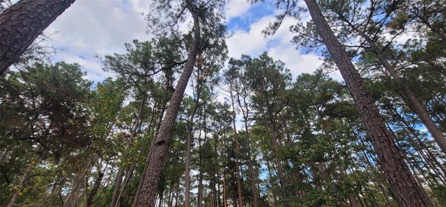 11087 Mills Creek Road, Conroe, TX 77304