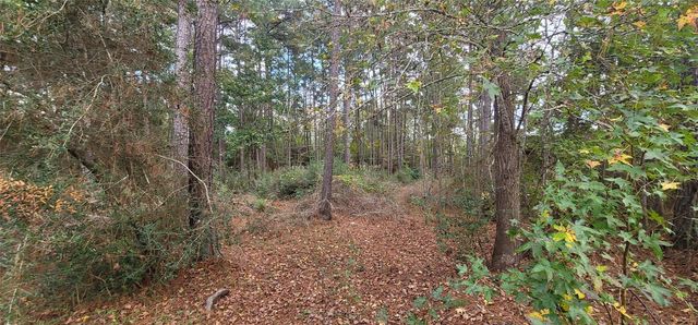 11087 Mills Creek Road, Conroe, TX 77304