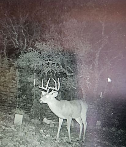 9025 SD 63530, Carta Valley, TX 78880