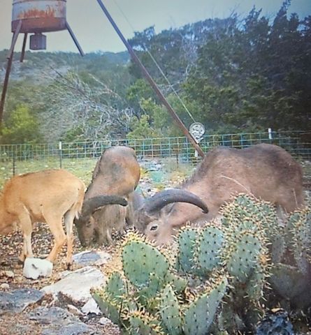 9025 SD 63530, Carta Valley, TX 78880